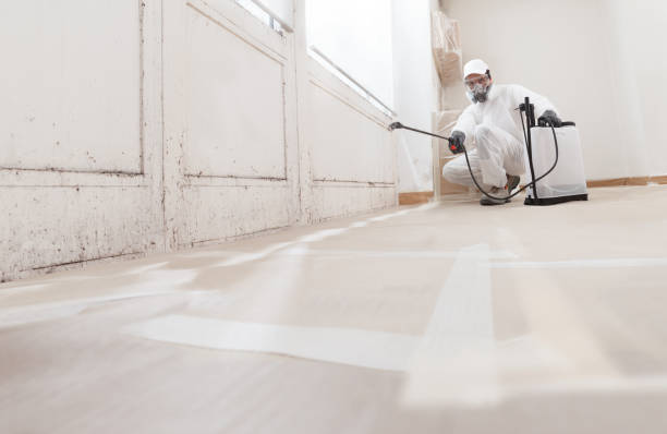 24/7 Emergency Basement Mold Removal experts in Toughkenamon, PA